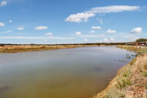 Riverside Flag Hill - click for photo gallery